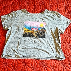 Levis XL cropped t shirt with mountain graphic